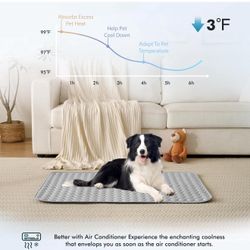 MICROCOSMOS Summer Cooling Mat & Sleeping Pad- Water Absorption Top, Materials Safe, Easy Carry, EZ Clean. Keep Cooling for Pets, Kids and Adults.(Gre