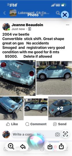 V W beetle