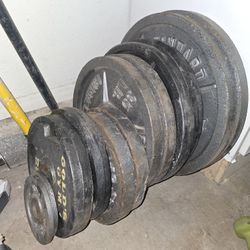 Bench Squat and Weights 