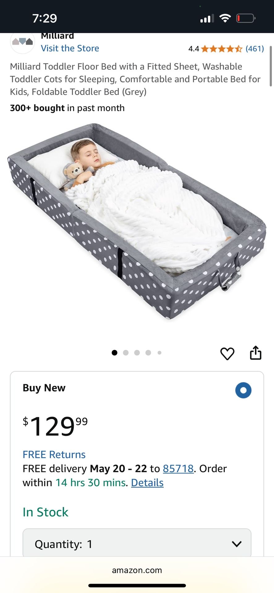 Toddler Floor Bed