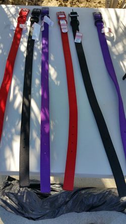 Double Thick Nylon Dog Collars