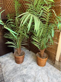 artificial plant both for $30