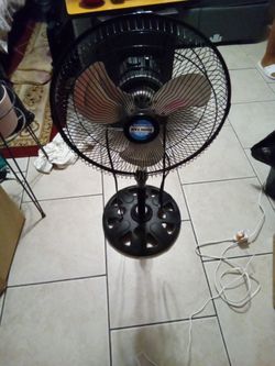 Fan