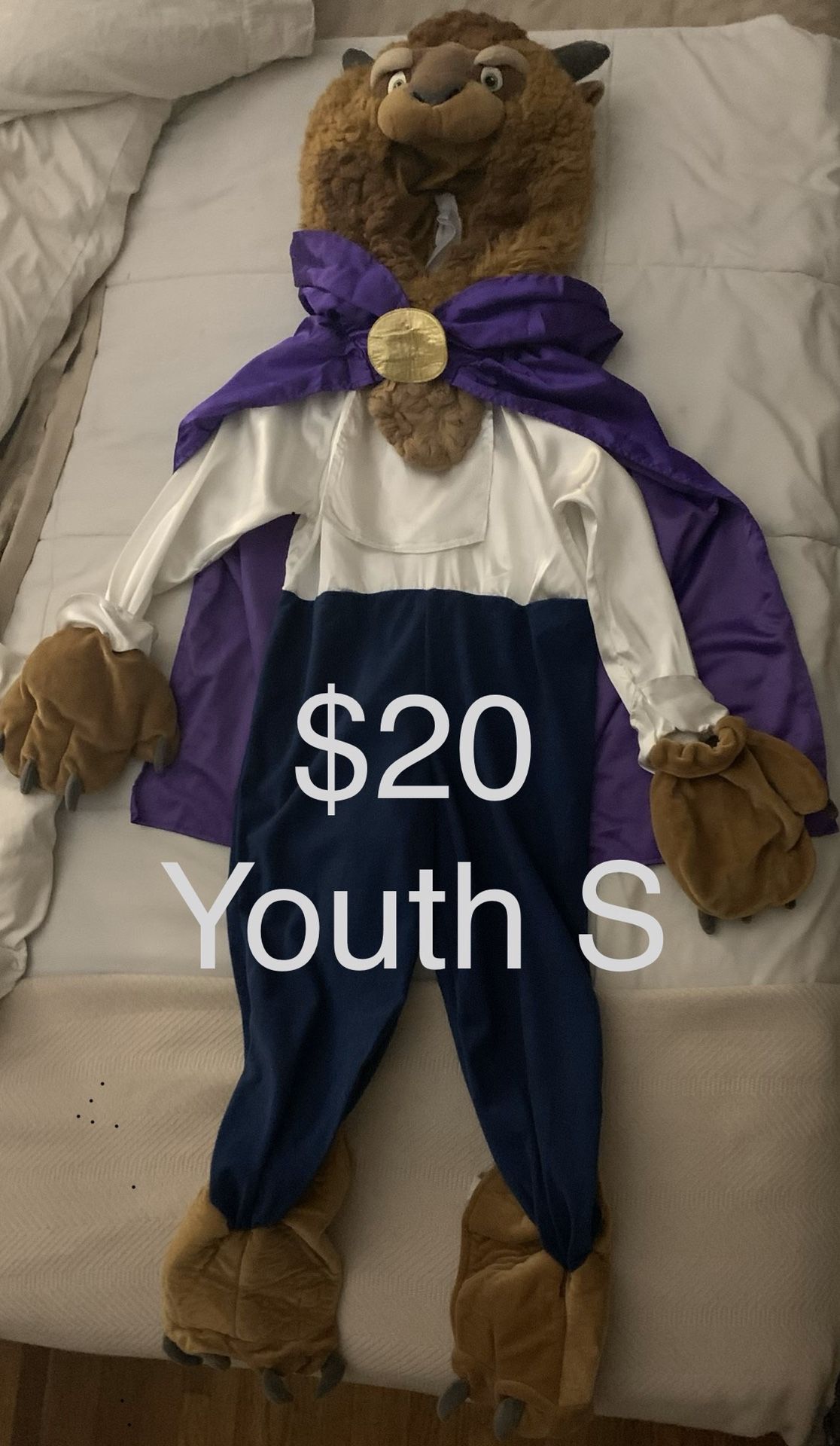 Disney “The Beast” youth costume