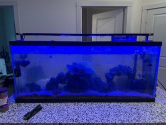 Fish tank