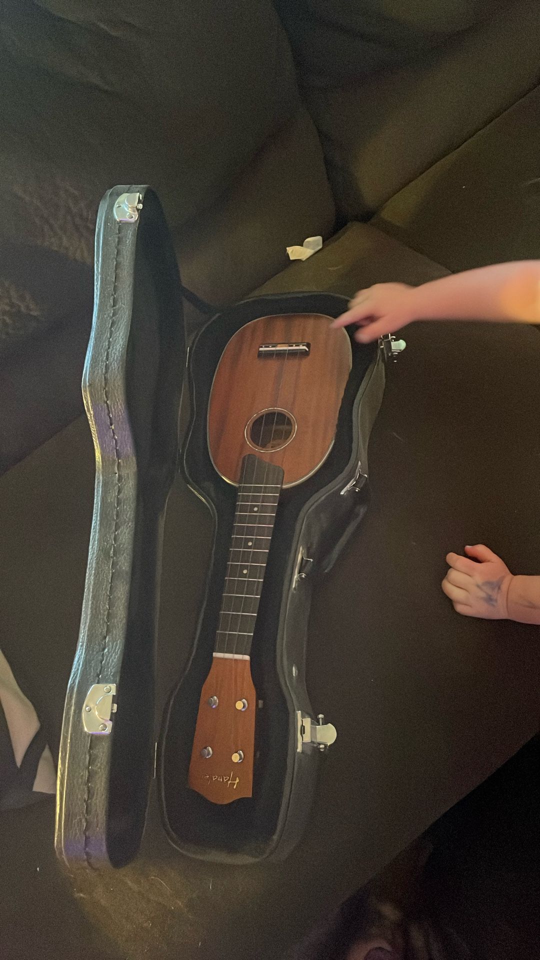Small String Instrument With Case