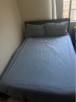 Bed, bed frame, desk and desk chair