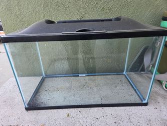 10 gallon fish tank