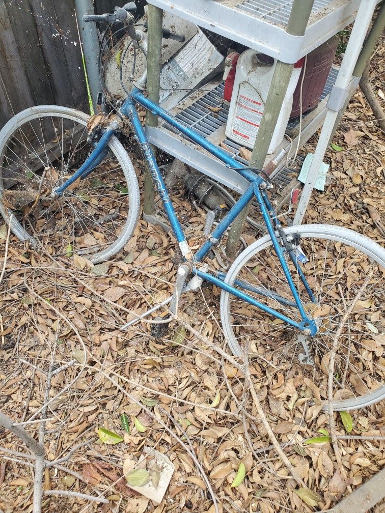 Old Bianchi Small Mtn Bike Great For Resto