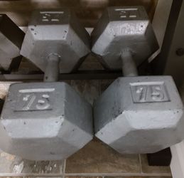 75 lb dumbbells