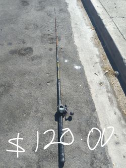 Fishing rod and reel
