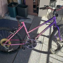 Girls 24 " Murray Bike
