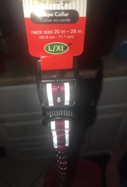 Kong dog collar