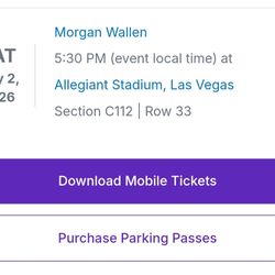 Morgan Wallen Concert