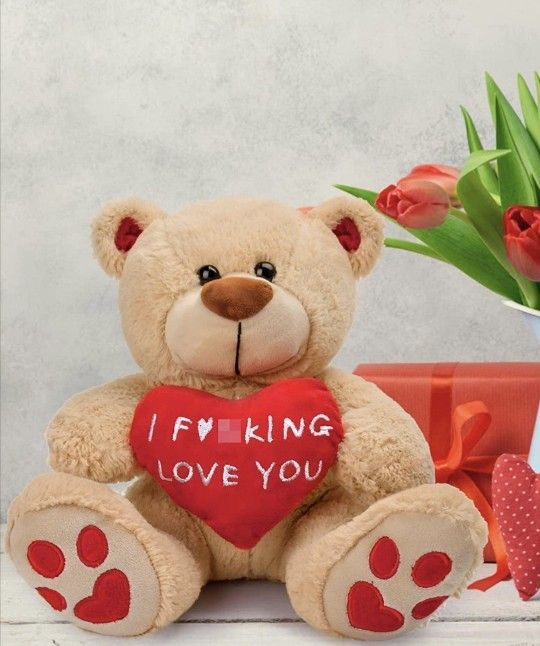Brand New 10 inch Red Heart Brown Teddy Bear I Love You Stuffed Animals

Valentines day gifts

Brand new

Pick up from Sammamish 

Cash