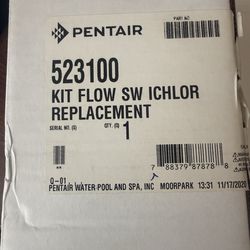 Pentair IChlor30  flow switch