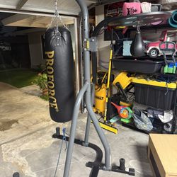 Everlast Heavy Bag And Speed Bag Stand 