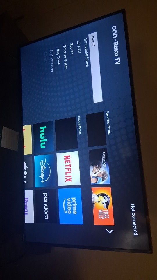 43 inch Roku TV (ONN)