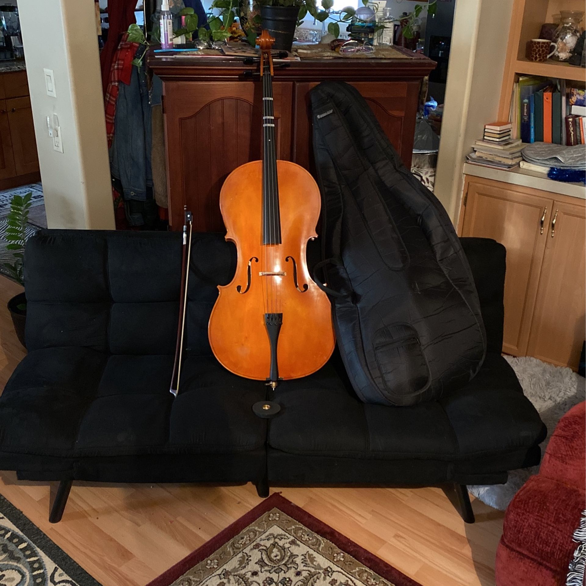 Cello With Case
