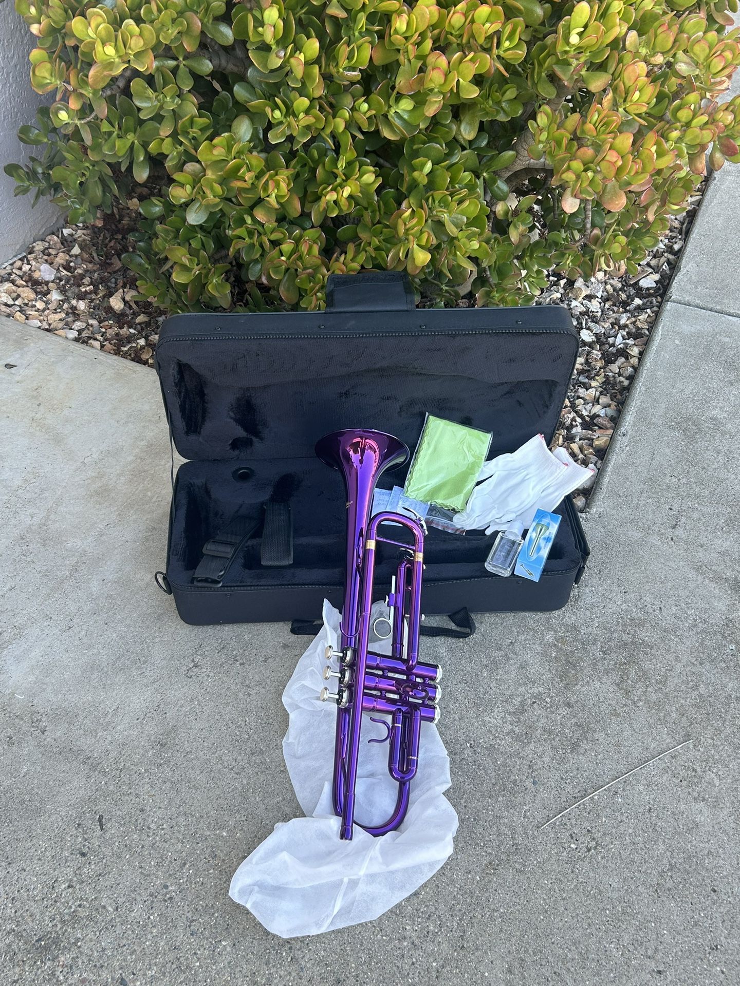 Purple Trumpet o $185 Bb New
