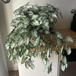 Large Arrowhead Ivy Vine Or Syngonium podophyllum Silk Artificial Plant In Rattan Basket Planter