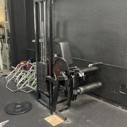 Leg Extensión 