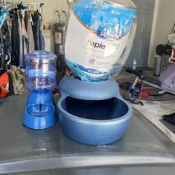 Cat Feeder And Water 