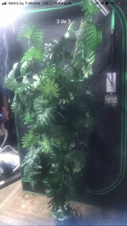 Plantas Artificiales 