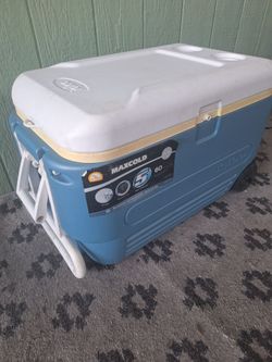 Ice Chest (igloo )