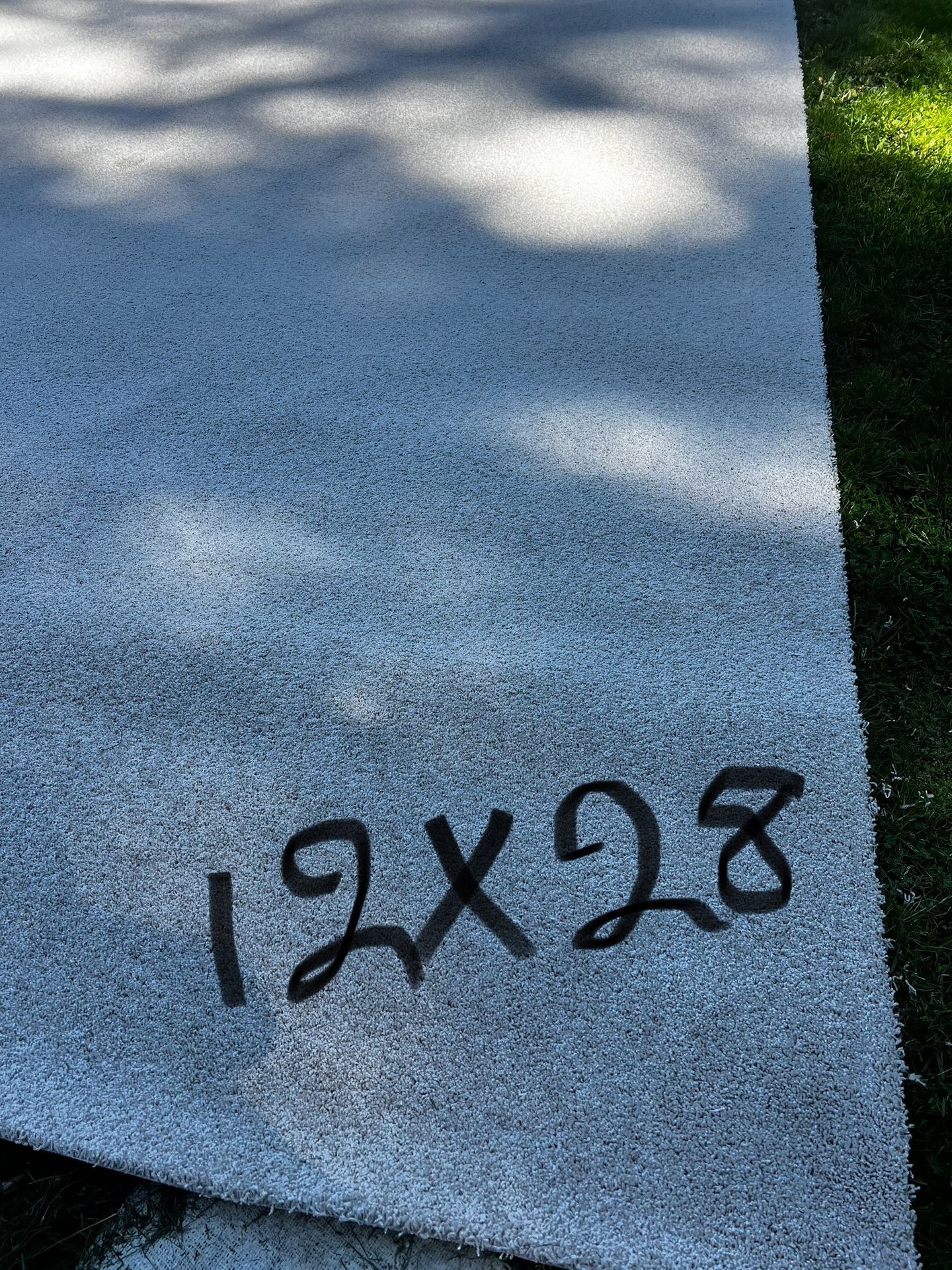 Carpet 12x28