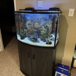 Fish Tank, Complete Setup +++