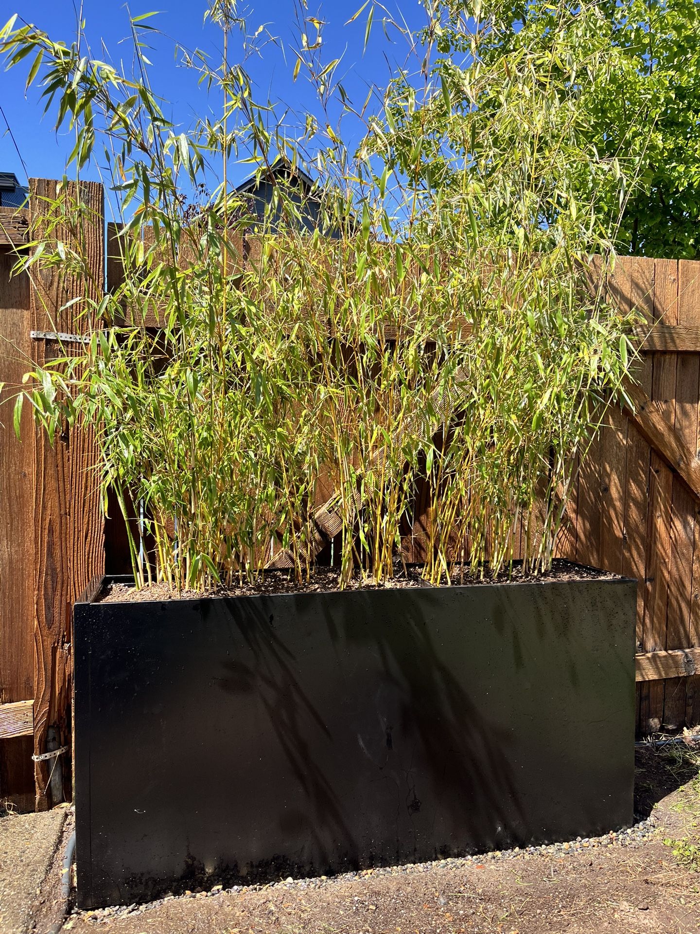 XL Metal Planter Box (empty - no plants included)