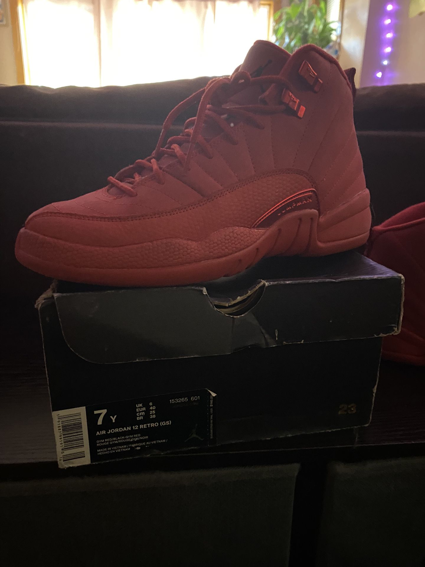 Red Jordan 12s