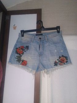 Vintage shorts  flying monkey brand