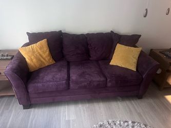 Purple sofa