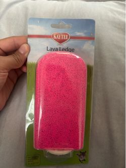 Brand New Pink/Purple Kaytee Lava Ledge