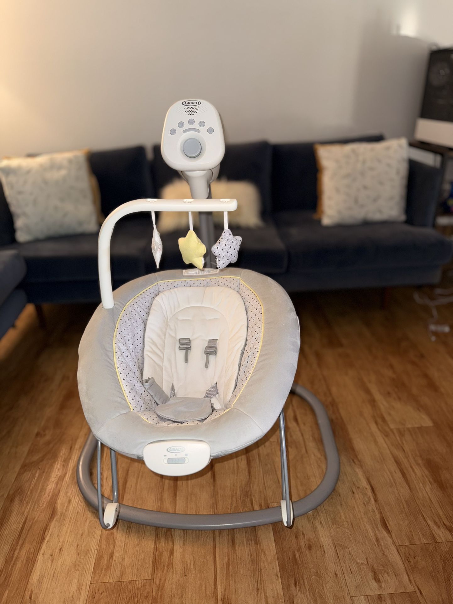 Graco Baby Swing & Bouncer