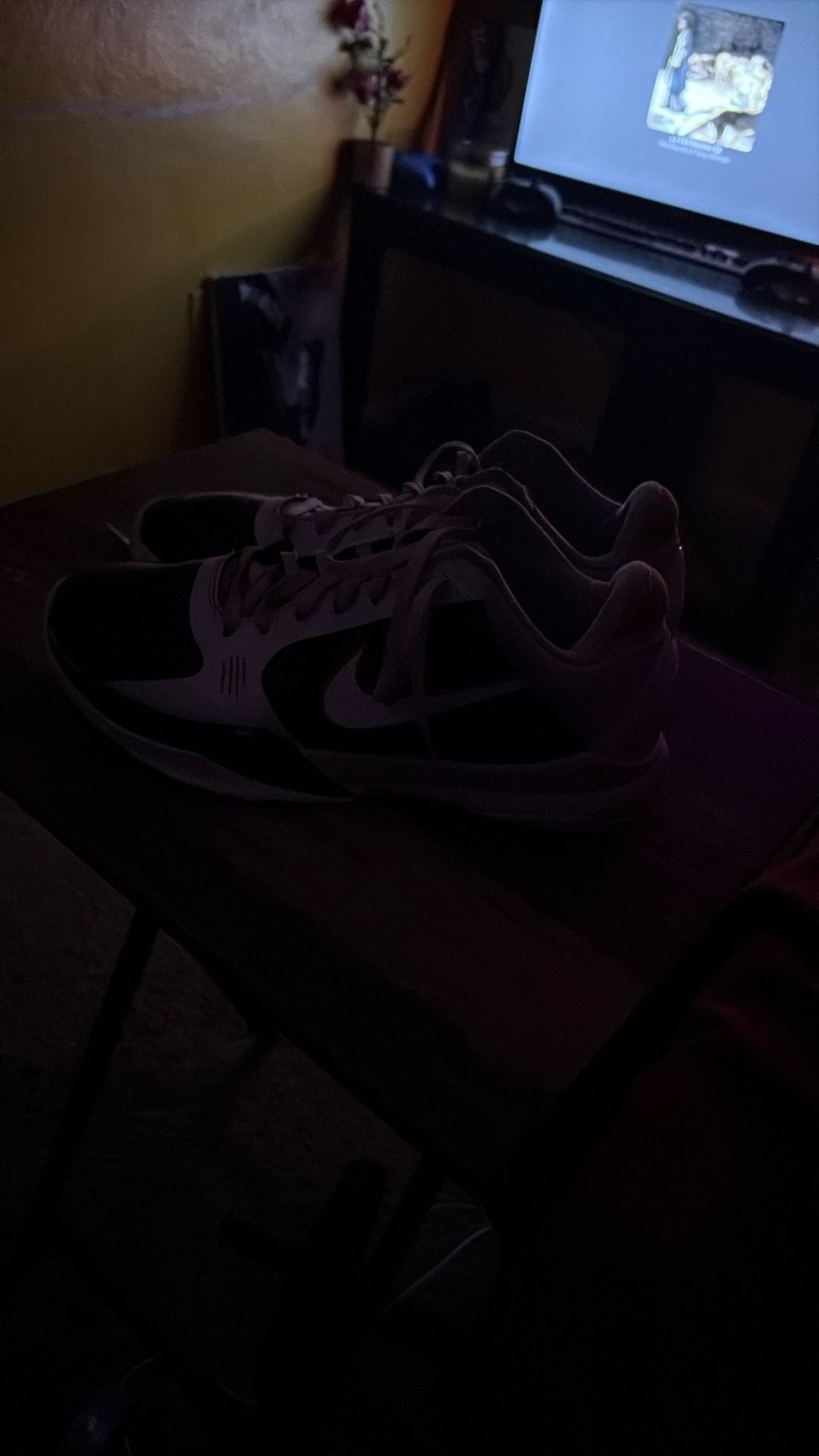 Basketball shoes