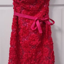 Heart 2 Heart Fuschia Mini Dress, Floral Embellishments & Sequins. Size L