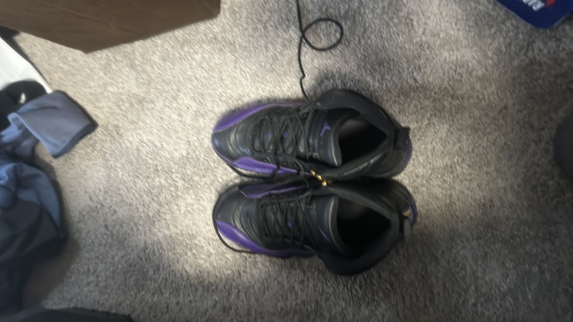 Jordan 12s