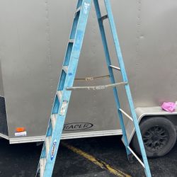 8ft Werner Ladder 