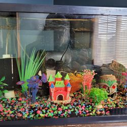10 G Fish Tank With Extras