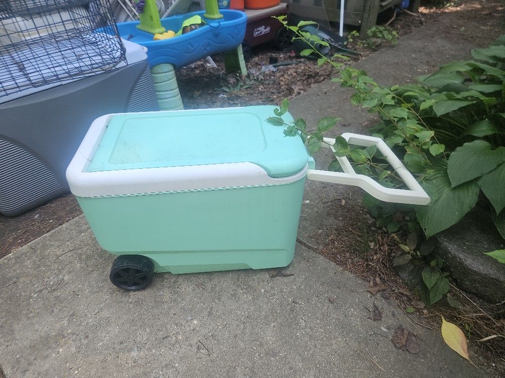 Price Is Firm.. 32.can Igloo Rolling Ice Chest