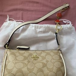 Tan Purse With Dust Bag