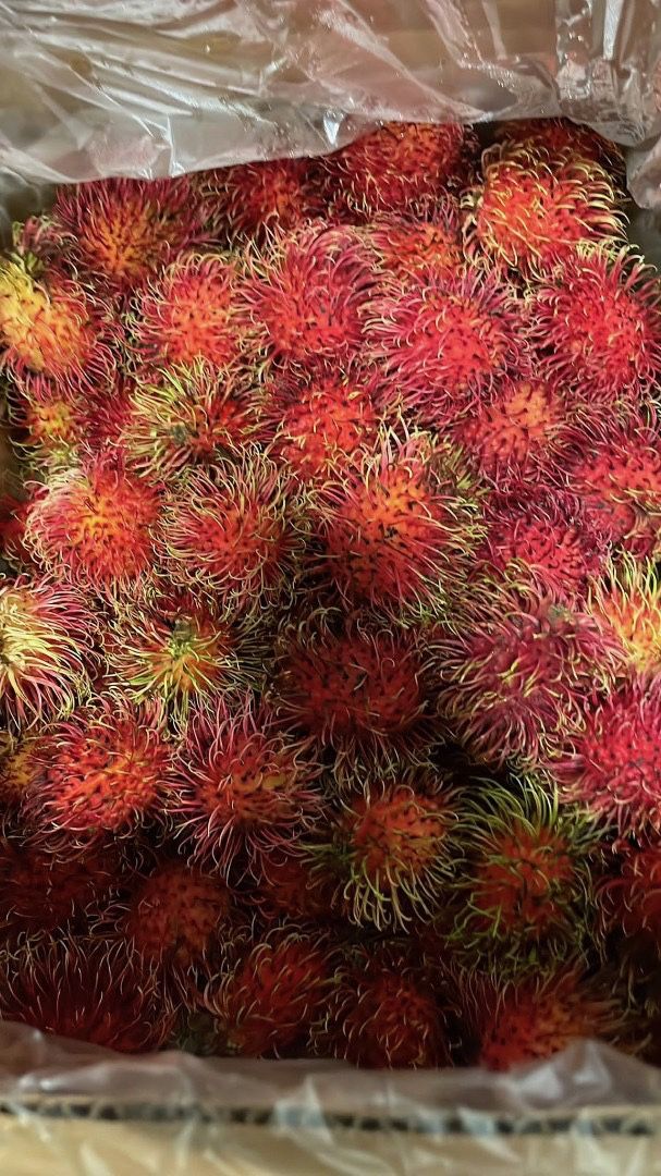 Rambutan 