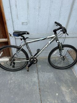 Giant Bike
