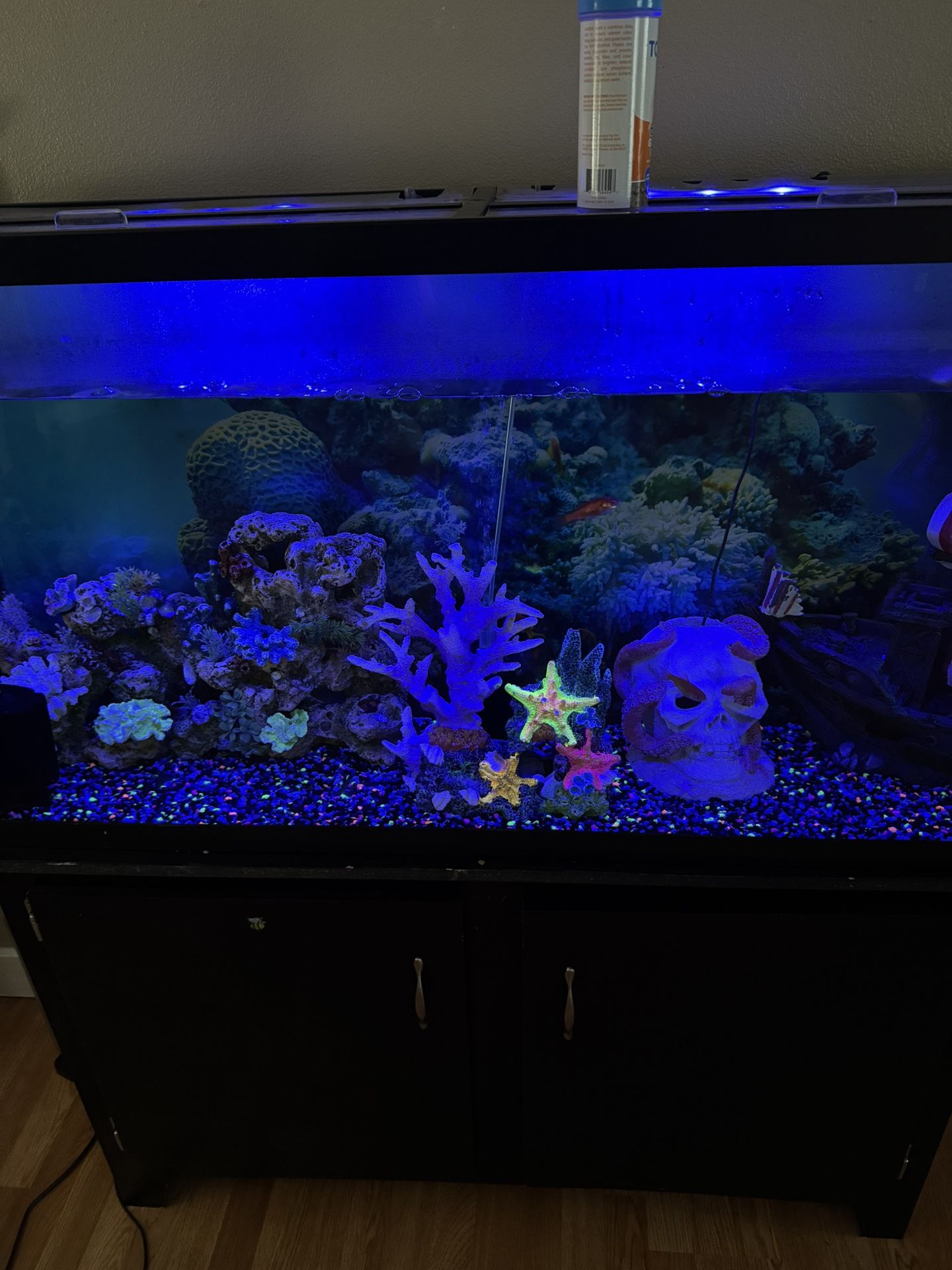 60 Gallon/Fish Tank with stand