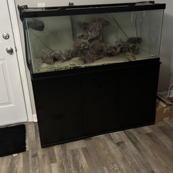 75 Gallon Tank And Stand