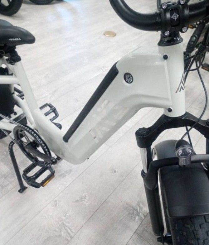 TST Carrier | Cargo 20" EBike