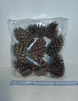 bag of pine cones for decor $5 FIRM
